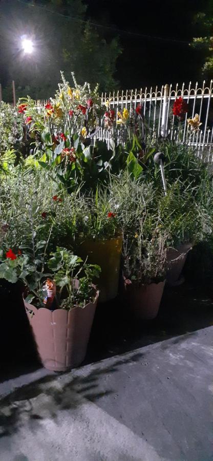 Pʼotʼi Boutique Hotel מראה חיצוני תמונה